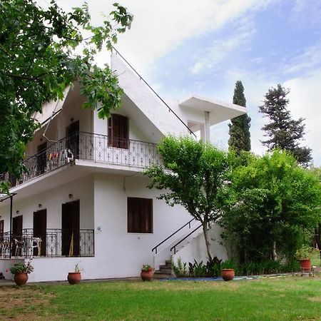 بلاتانياس Drivas Apartments المظهر الخارجي الصورة