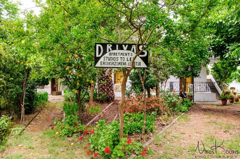 بلاتانياس Drivas Apartments المظهر الخارجي الصورة